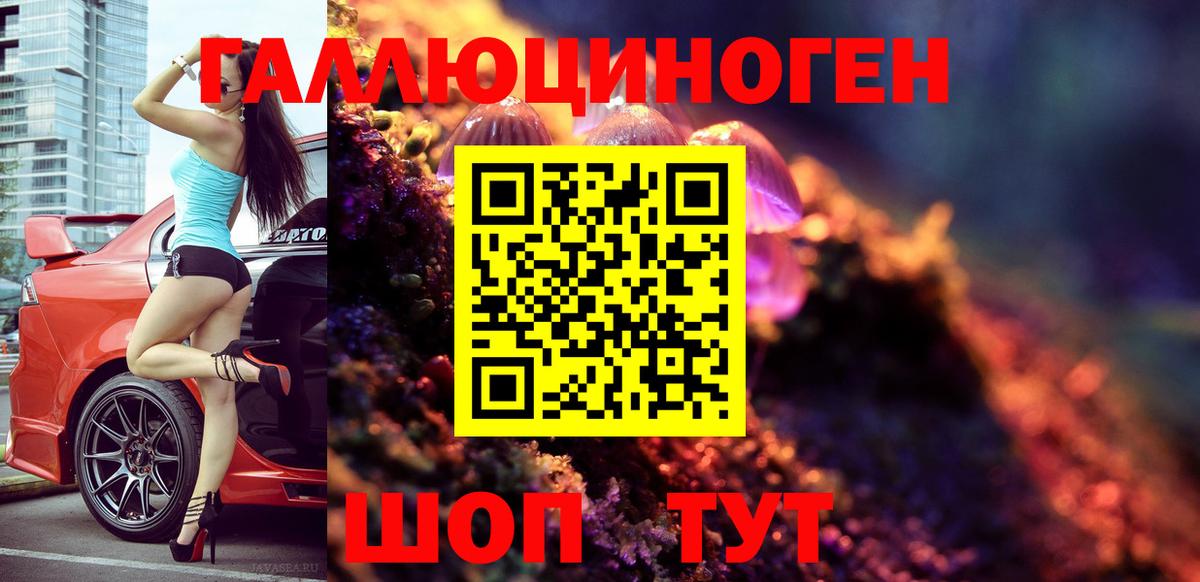 Псилоцибиновые грибы мухоморы  закладка  Вход с VPN  Сальск  Галлюциногенные грибы Psilocybine cubensis 