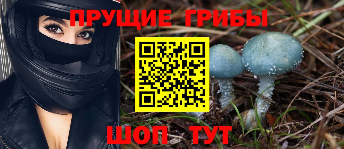 Галлюциногенные грибы MAGIC MUSHROOMS Сальск